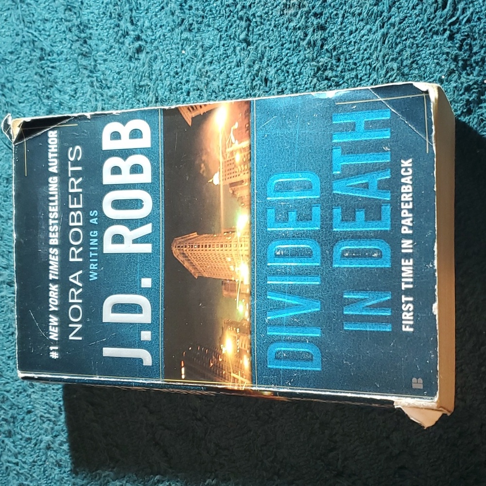 Divided in death book